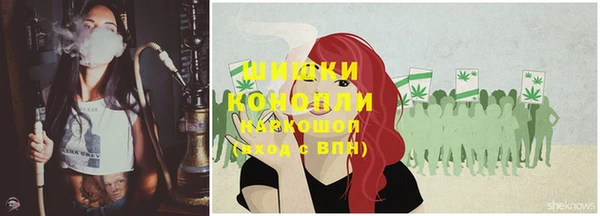 крисы Горно-Алтайск