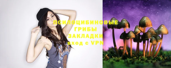экстази Горняк