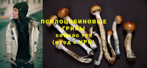 спайс Горнозаводск
