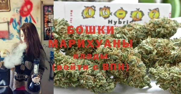 крисы Горно-Алтайск