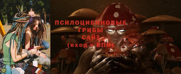 экстази Горняк