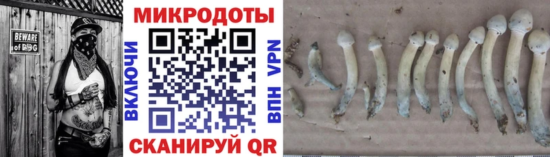 Купить закладки  Сертолово  Галлюциногенные грибы прущие грибы 